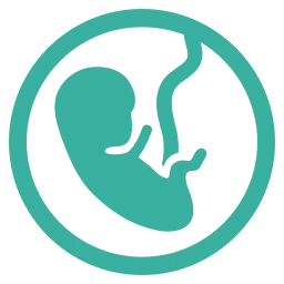 Gynaecology & Obstetrics