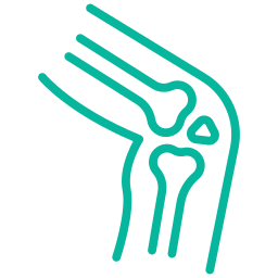 Orthopaedics & Spine